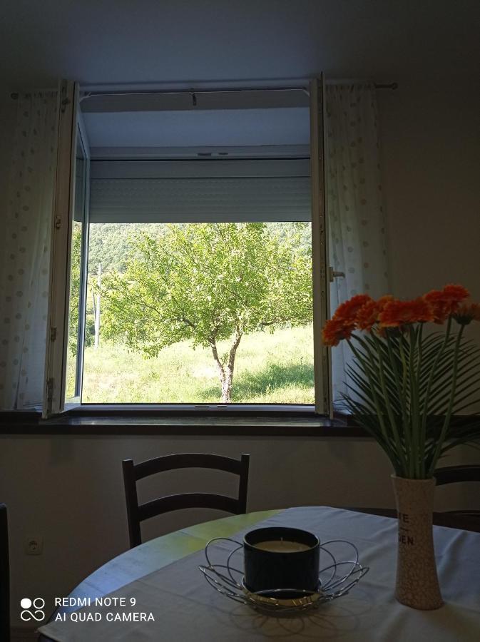 Studio Apartman Sonja Otočac Exteriör bild